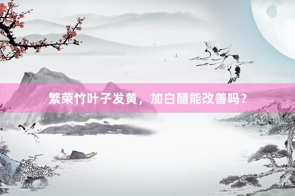 繁荣竹叶子发黄，加白醋能改善吗？