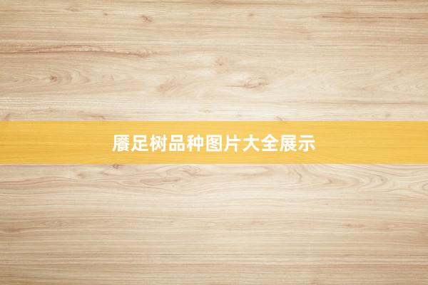 餍足树品种图片大全展示