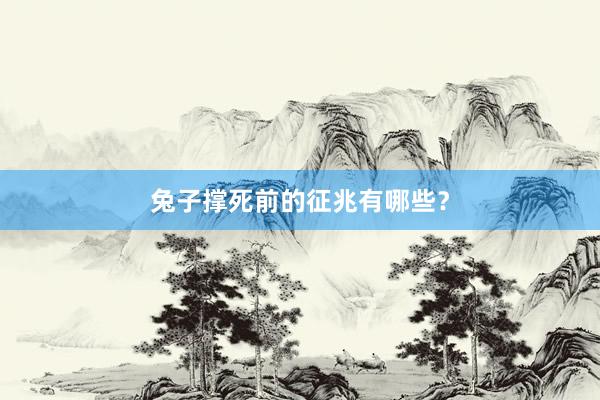 兔子撑死前的征兆有哪些？