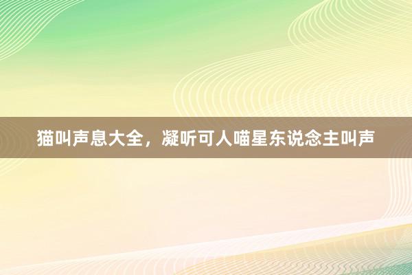 猫叫声息大全，凝听可人喵星东说念主叫声
