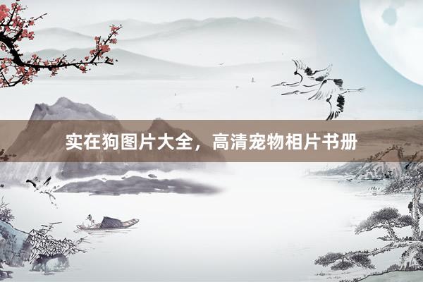 实在狗图片大全，高清宠物相片书册